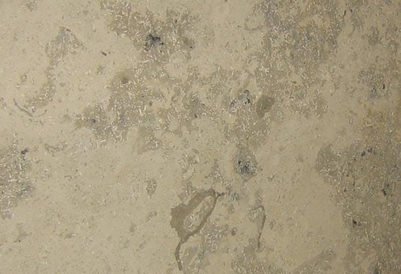 Jura Grey Honed