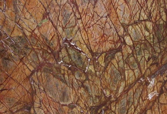 Rainforest Brown Leather