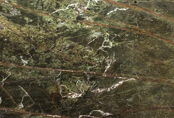 Rainforest Green
