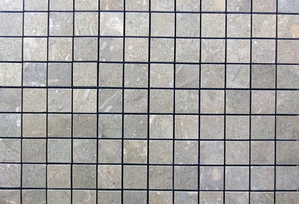 Seagrass Limestone