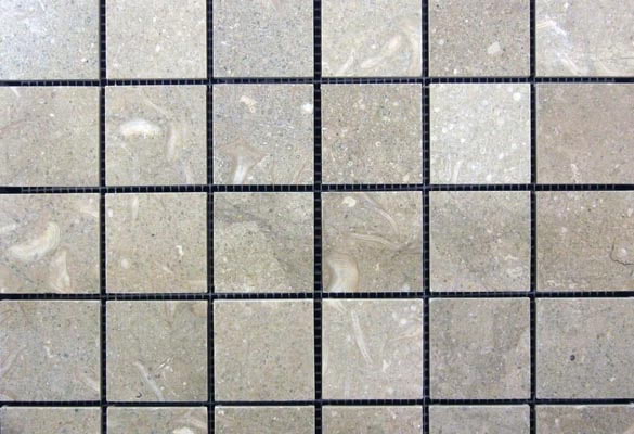 Seagrass Limestone