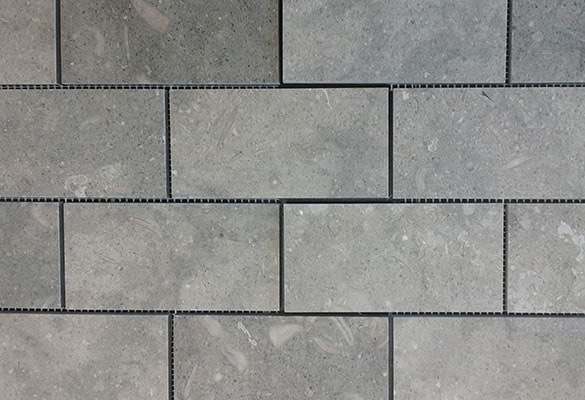 Seagrass Limestone