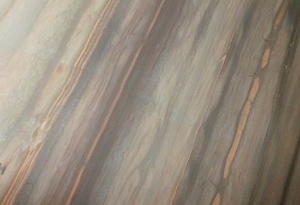 Elegant Brown