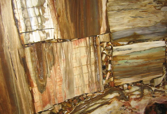 Retro Petrified Wood
