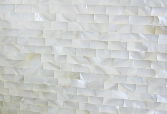 White Mother of Pearl