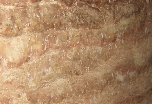 Antique Travertino Polished